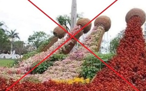 Thực hư hình ảnh "phản cảm" ở nơi trưng bày hoa Xuân Quảng Nam