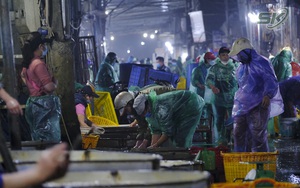 Trước ngày Táo quân, sức mua cá chép ở Hà Nội giảm nhưng giá vẫn tăng vọt