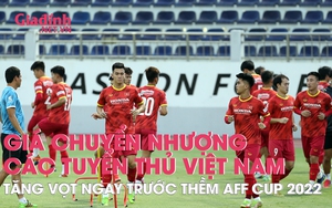 Giá trị chuyển nhượng của các cầu thủ đội tuyển Việt Nam tăng vọt ngay trước thềm AFF Cup 2002