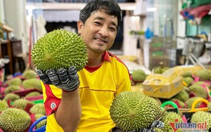 Sầu riêng Musang King chín rụng ở Cần Thơ, gần 3 triệu/quả vẫn khó mua