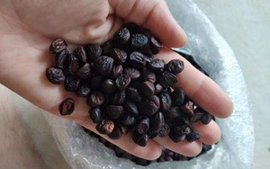 Ba loại gia vị Tây Bắc cực đắt đỏ, có tiền chưa chắc mua được