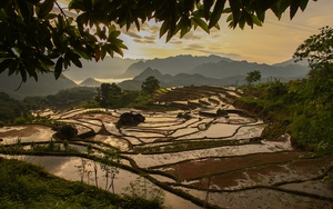 Ngắm vẻ đẹp yên bình ruộng bậc thang Pù Luông mùa đổ nước