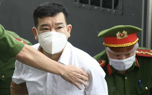 Cựu Đại tá Phùng Anh Lê bị đề nghị từ 9- 10 năm tù