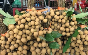 Nhãn ồ ạt xuống phố, giá rẻ bằng mớ rau muống