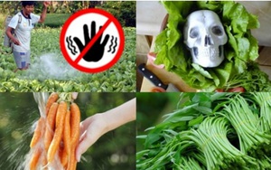 3 loại rau quả ăn nhiều sẽ rút ngắn tuổi thọ, âm thầm nuôi lớn tế bào ung thư, người Việt cần dừng ngay nếu không muốn bệnh!