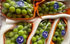 Sự thật nho mẫu đơn tiền triệu mỗi chùm, tràn lan chợ mạng giá 100.000 đồng/kg