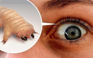 11 bí mật đơn giản nhưng đáng kinh ngạc về con người, nếu sở hữu 1 trong các khả năng sau bạn có thể tự hào về chính mình