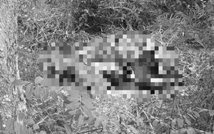 Hải Dương: Phát hiện thi thể người đàn ông tử vong gần cầu Hàn trên người có hình xăm