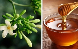 Hoa đu đủ đực ngâm mật ong, dùng theo cách này còn tốt hơn thuốc bổ