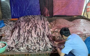 Phát hiện hơn 10 tấn thịt trâu, da trâu bốc mùi hôi thối 