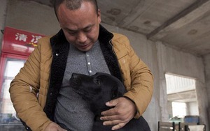Bị kẻ trộm câu mất chú chó cưng, người đàn ông tìm đến lò mổ và làm điều “không tưởng”