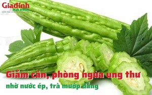 Giảm cân, phòng ngừa ung thư nhờ nước ép, trà mướp đắng