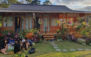 Bà mẹ 2 con đổ mồ hôi trồng hoa trái và rau sạch, tìm bình yên trong khu vườn nhỏ