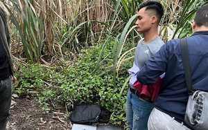 Ra tù hơn 10 ngày, thanh niên mang biệt danh 'Mèo đen' tiếp tục gây án