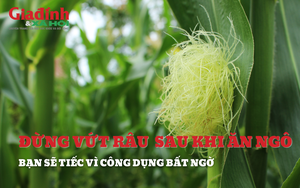 Đừng vứt râu sau khi ăn ngô, bạn sẽ tiếc vì công dụng không ngờ