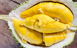 Sầu riêng Musang King trồng ở miền Tây, giá rẻ chưa từng có