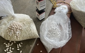 Hà Nội: Kinh hoàng hàng vạn sản phẩm thực phẩm bảo vệ sức khỏe giả 'ra lò' bằng công nghệ xô chậu, túi tải, trong căn nhà cấp 4 ở ngoại thành