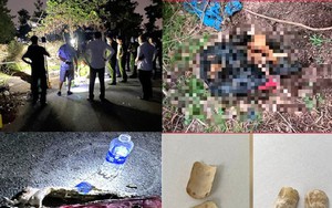 Diễn biến nóng vụ nghi án giết người phân xác ở Bình Dương: Động thái mới của cơ quan điều tra