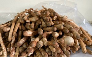 Trời mưa mới được ăn nấm mối, 1 triệu đồng/kg vẫn hết sạch
