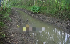Bắc Giang: Công an điều tra vụ thi thể dưới mương nước