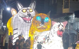 Dàn mèo ‘giang hồ khét tiếng’ trong Lễ hội Trung thu ở Lâm Đồng khiến cộng đồng xôn xao
