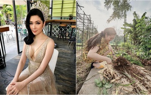 'Hoa hậu bí ẩn nhất Việt Nam' tuổi U40, sống kín tiếng trong biệt thự ở Hà Nội