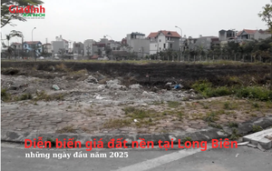 Diễn biến giá đất nền tại Long Biên, Hà Nội những ngày đầu năm 2025