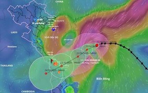 Tin bão mới nhất: Bão số 12 giật cấp 12 áp sát miền Trung, nơi nào tâm điểm mưa to?