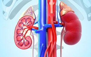 Suy thận: Nhận diện sớm các dấu hiệu cảnh báo và hướng phòng ngừa