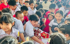 Chi tiết lịch nghỉ Tết Dương lịch 2026 sắp tới của học sinh Hà Nội