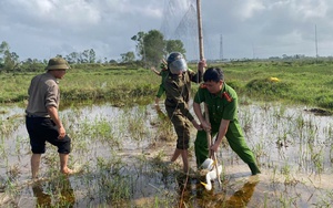 Hà Tĩnh ngăn chặn nạn bẫy bắt chim trời
