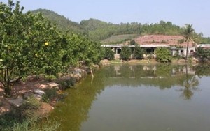 Lấp ao xây nhà là tốt?