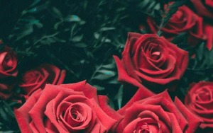 Tháng sinh Âm lịch của người có hậu vận vững chắc, tài lộc đầy nhà