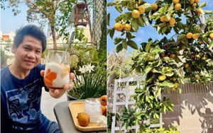 Loại cây trấn trạch hút lộc được 'ông hoàng nhạc đỏ' Trọng Tấn trồng đầy trong vườn nhà