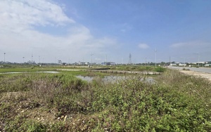 ‘Choáng’ với lô đất cấp xã đưa ra đấu giá khởi điểm hơn 12 tỷ đồng ở Nghệ An 