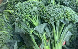Top 5 loại rau cải phòng chống ung thư, tim mạch