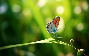 Số cuối ngày sinh Âm lịch của người biết tích lũy: Càng sống tốt, tiền càng tự tìm đến