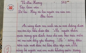 Bài văn tả mẹ đạt 9 điểm gây 'sốt' mạng, tinh tế nhất là lời phê của giáo viên
