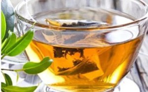 Ít ai ngờ loại lá rẻ tiền này lại được ví như 'nhân sâm xanh', giúp phòng bệnh hiệu quả