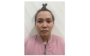 Nhập vai Việt Kiều giàu có, lừa đảo chiếm đoạt hàng trăm triệu đồng