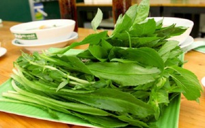 Loại rau rẻ tiền, mùa đông người Việt nên ăn để 'quét sạch mỡ máu', ngăn ngừa bệnh mạn tính