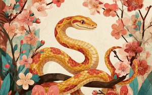 Tử vi 12 con giáp năm Bính Ngọ: Tổng quan tuổi Tỵ năm 2026