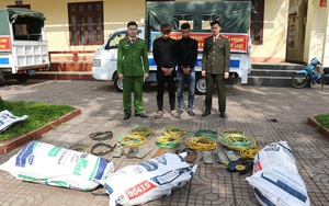 Bắt 2 đối tượng gây hơn 150 vụ trộm dây cáp, thiệt hại gần 1 tỷ đồng
