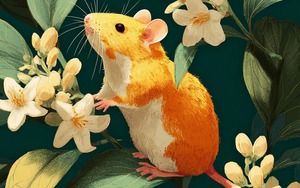 5 con giáp dễ mua đất, tậu nhà từ tháng 12: Tiền tài đổ về như nước