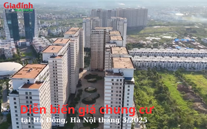 Diễn biến giá chung cư tại Hà Đông, Hà Nội tháng 3/2025