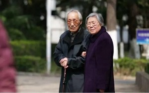Sau lễ tốt nghiệp, con trai gửi thư từ mặt rồi biệt tích khiến vợ chồng giáo sư bật khóc hối hận vì dạy con sai cách