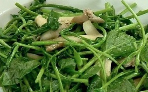 Bất ngờ 4 loại rau củ mùa hè người bệnh suy thận không nên ăn thường xuyên