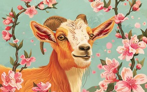 Sống tử tế chưa bao giờ là thiệt: 4 con giáp này là minh chứng rõ ràng nhất