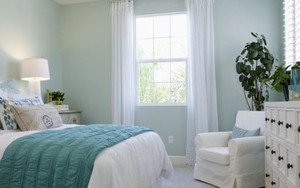 Vì sao không nên để cây xanh trong phòng ngủ?