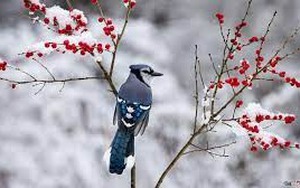 Ngày sinh Âm lịch của người 'nói là làm', càng khó khăn càng dễ bứt phá để vươn tới đỉnh cao